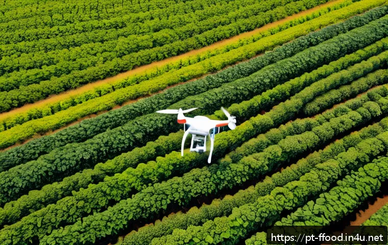 Como a Agricultura Inteligente Pode Salvar o Clima e Transformar o Futuro do Brasil 3 기후 변화 대응을 위한 스마트 농업 관련 이미지 1